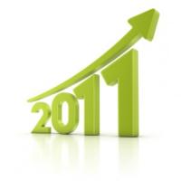 Ce afaceri puteti demara in 2011